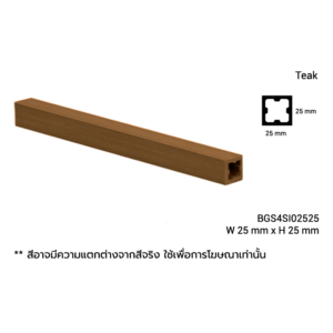 BGS4SI02525
