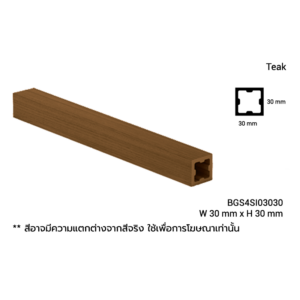 BGS4SI03030