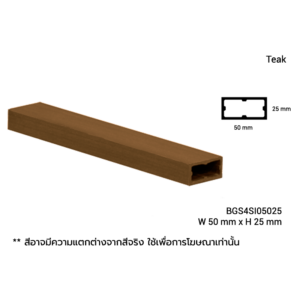 BGS4SI05025