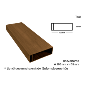 BGS4SI10035